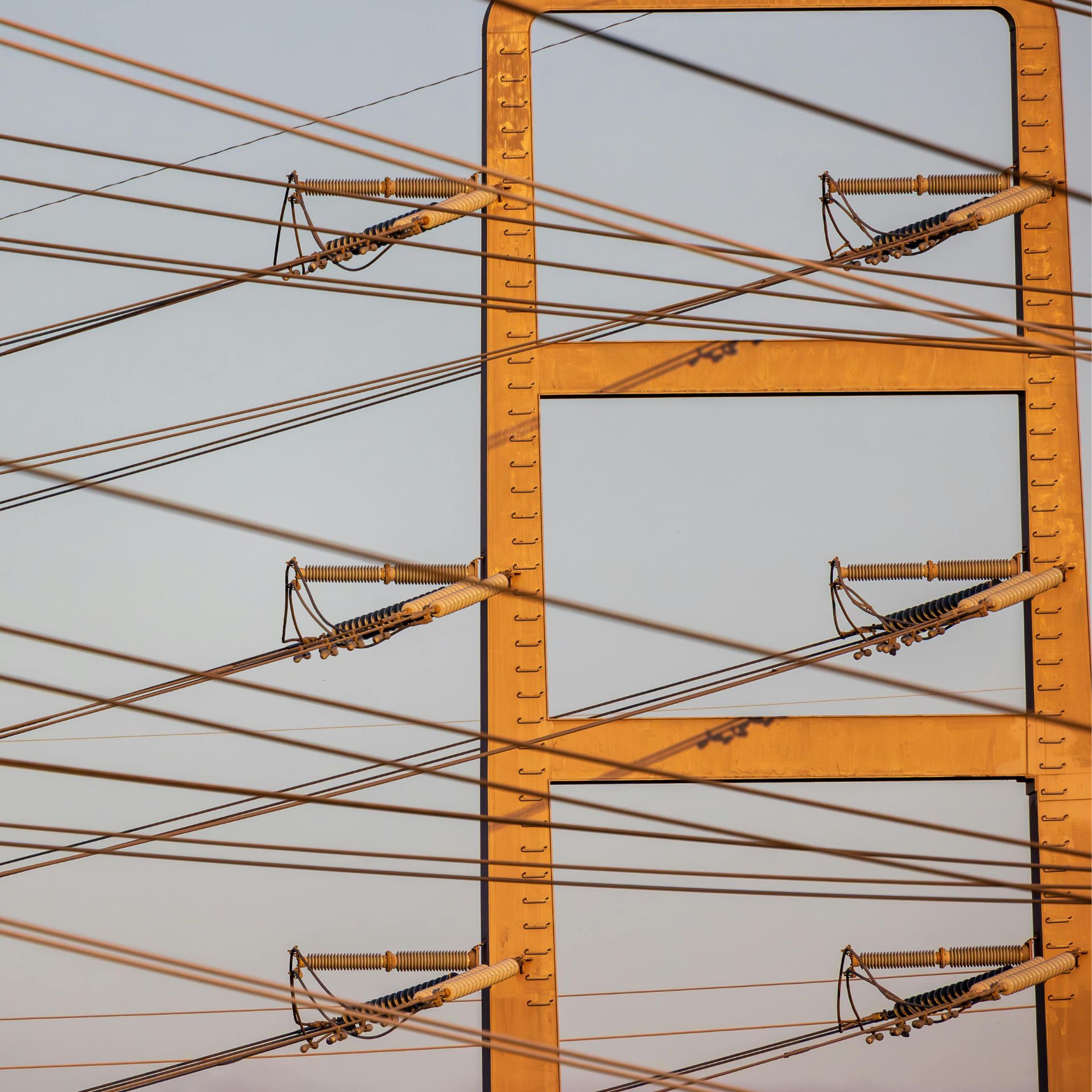 Electrical Distribution and Transmission